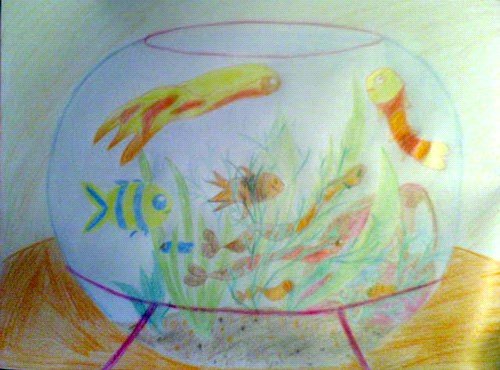 Рисования рыбки плавают в аквариуме. Рисование рыбки плавают в аквариуме. Рыбки в аквариуме рисование в средней группе. Рисование аквариум с рыбками старшая группа. Рисование рыбки в аквариуме средняя.