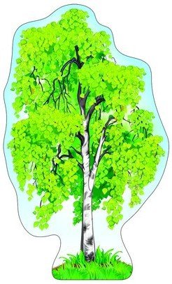 Береза для вырезания