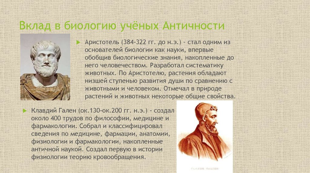 Как ученые называют 1 человека. Вклад в биологию Аристотель Аристотель. Аристотель (384 - 322 г. до н. э.). Вклад в биологию ученых античности.