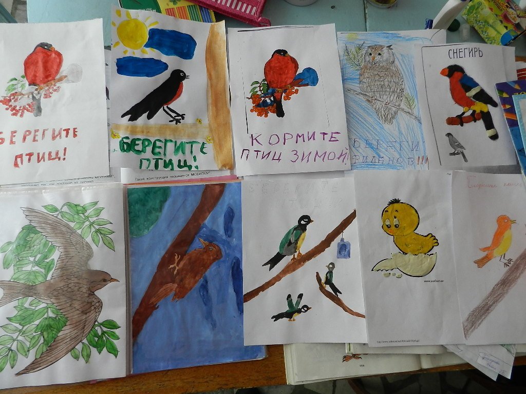 Листовка встречаем пернатых. Рисунок птицы на конкурс. Листовка в защиту птиц. Плакат в защиту птиц. Плакат на день птиц.