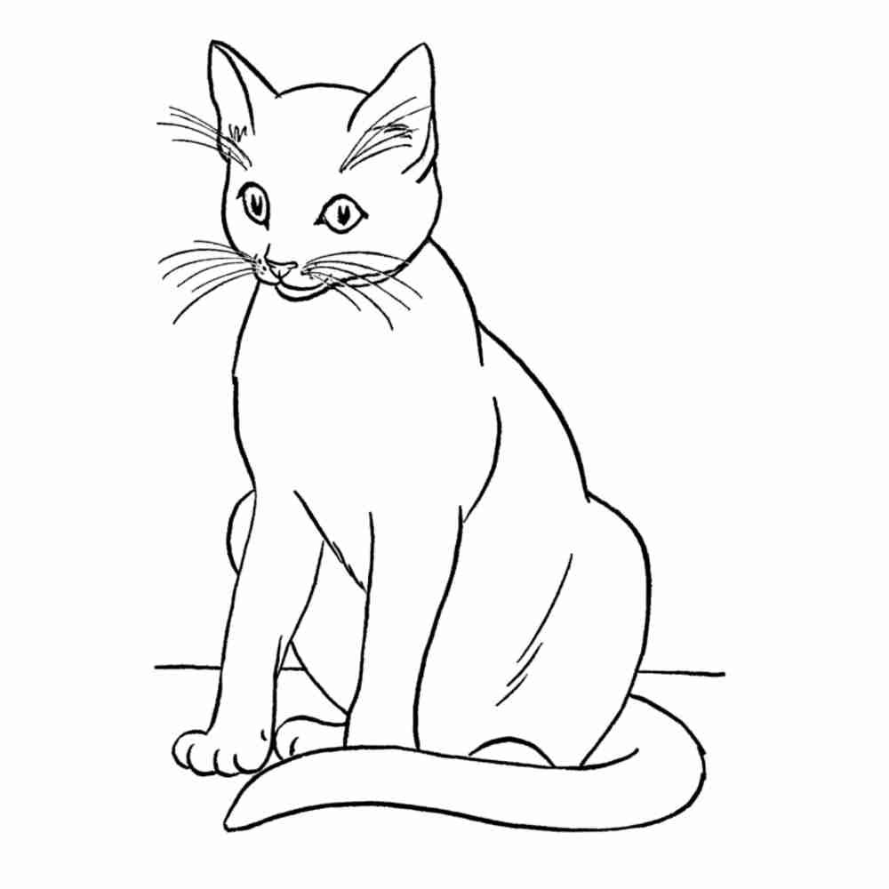 Рисунок сидящий кот детский