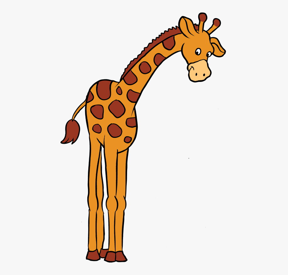 На рисунке изображен жираф. Жираф для детей. Жираф картинка. Жираф мультяшный. Жираф рисунок для детей.