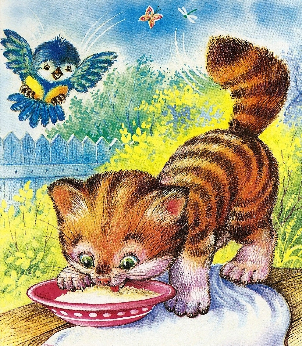 Кошка с котятами детский сад. Кот из сказки. Котенок иллюстрация. Кошки в сказках. Котёнок-ребёнок.