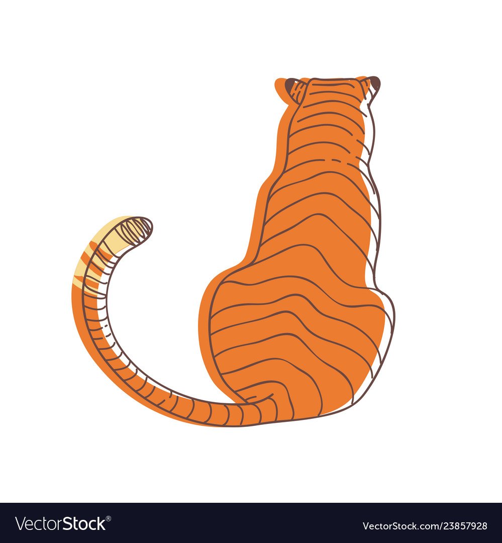 Тигр сзади рисунок