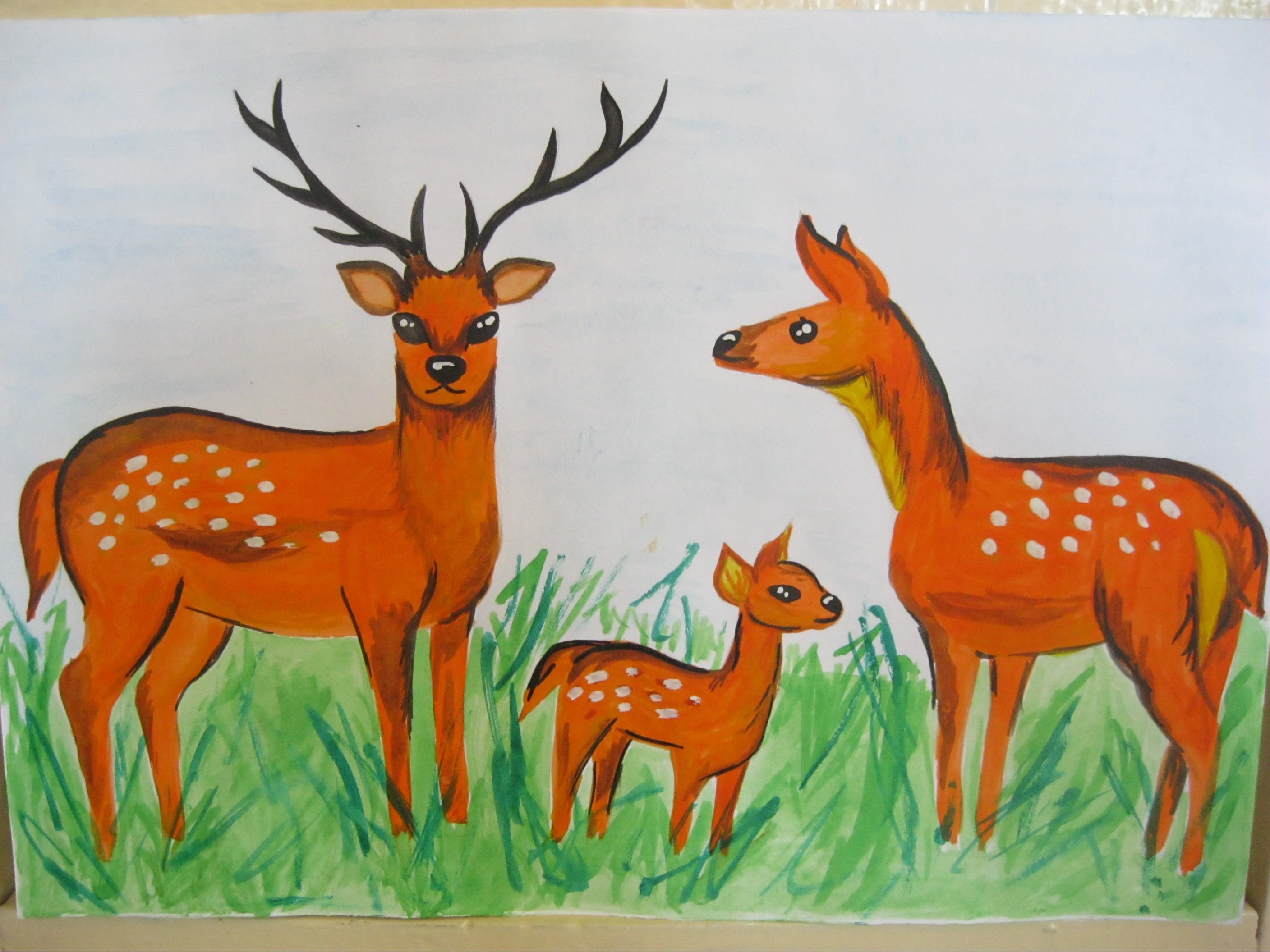Занятие олень. Уссурийский пятнистый олень. Рисование оленя в подготовительной группе. Животные рисунки для детей. Олень рисование с детьми.