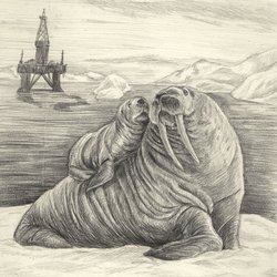 Линогравюра с моржами