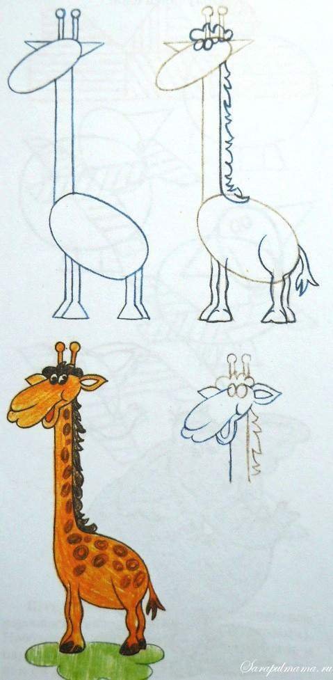 Жираф поэтапно для детей. Рисунок жирафа. Рисование Жираф. Рисование Жираф старшая группа. Рисунок жирафа для детей карандашом.