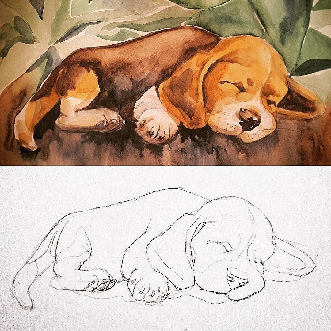 Спящий щенок живопись