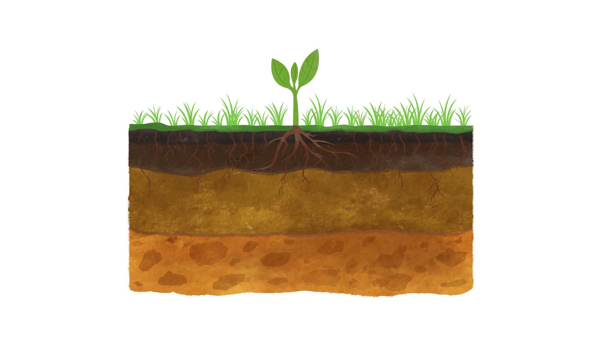 Земля почва