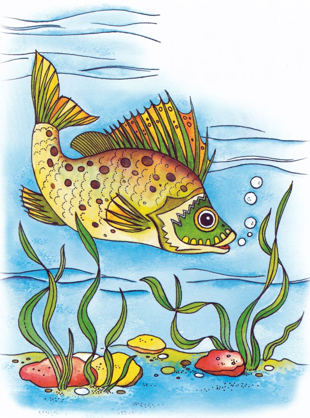 Рисование речные рыбы
