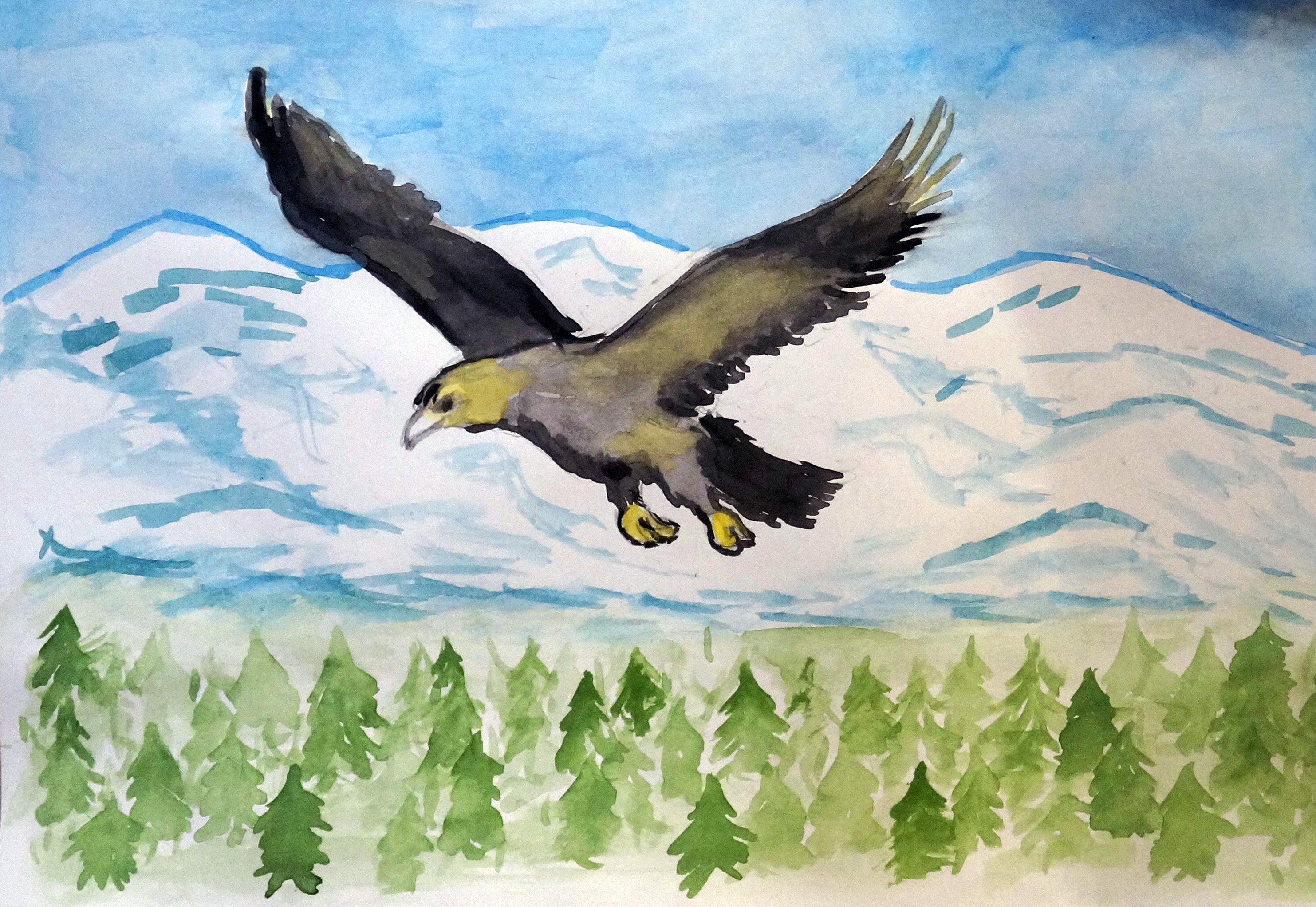 Рисование орла