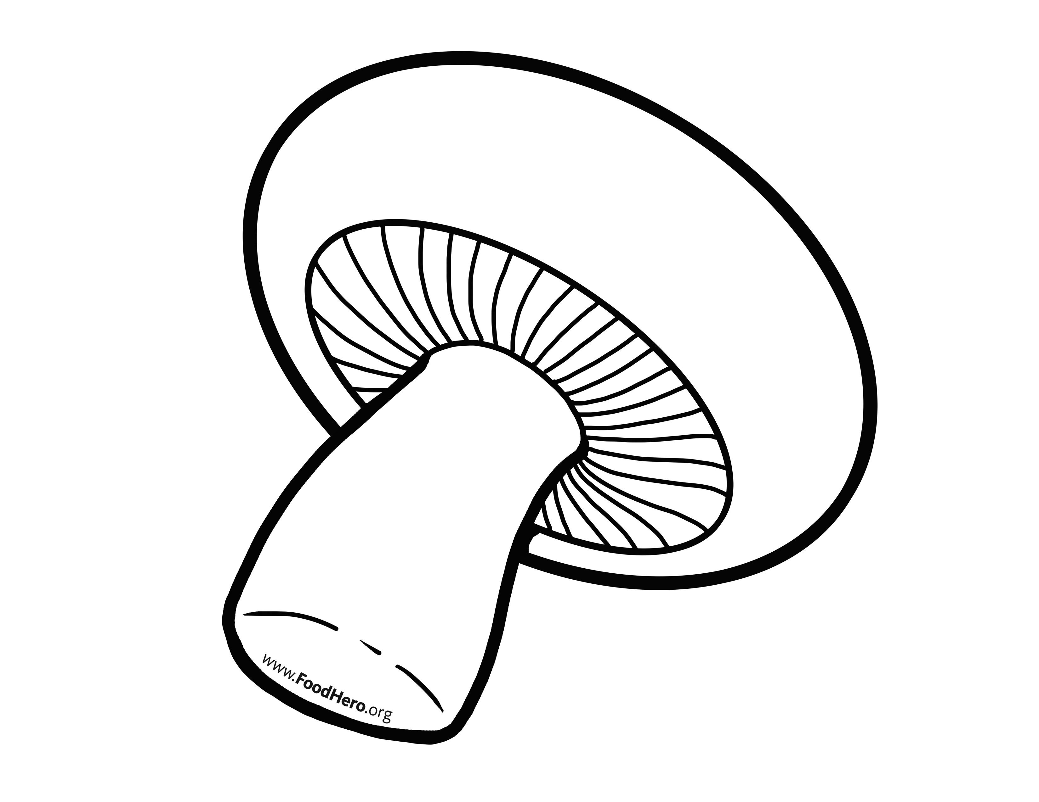 Шампиньо гриб раскраска