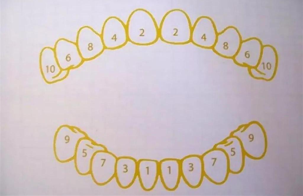 Появление 1 зуба