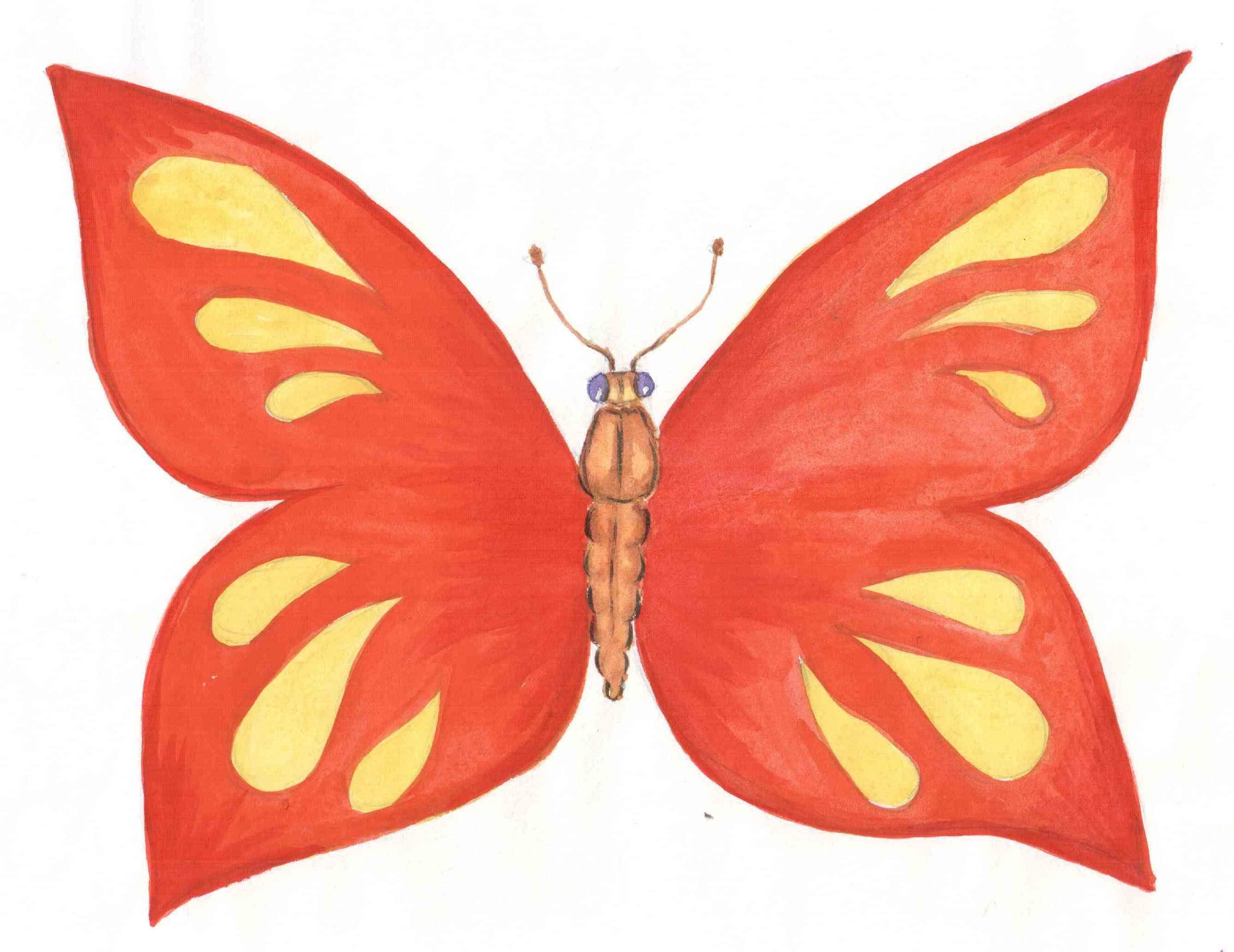 Симметричная бабочка рисунок