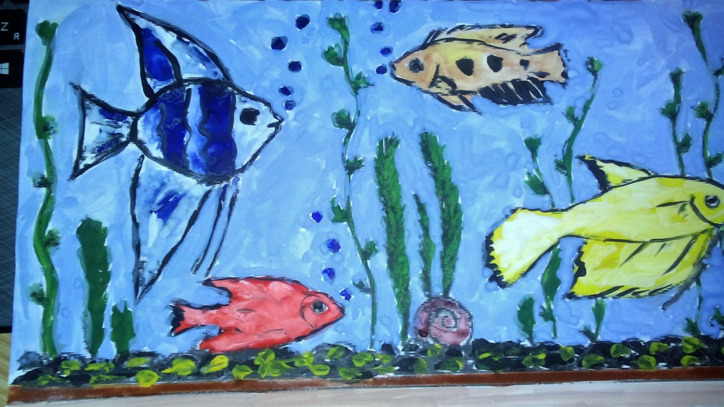 Рисование аквариум с рыбками старшая группа