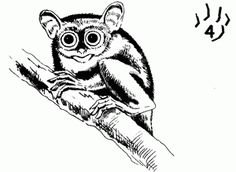 Долгопят раскраска