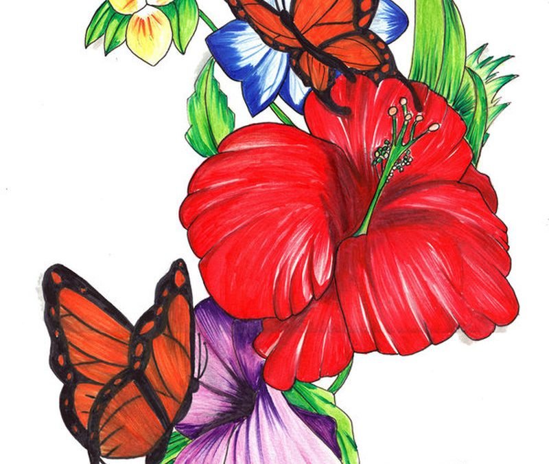Цветной цветок нарисованный. Рисунки цветов. Цветы иллюстрация. Рисовать цветы. Бабочка рисунок.