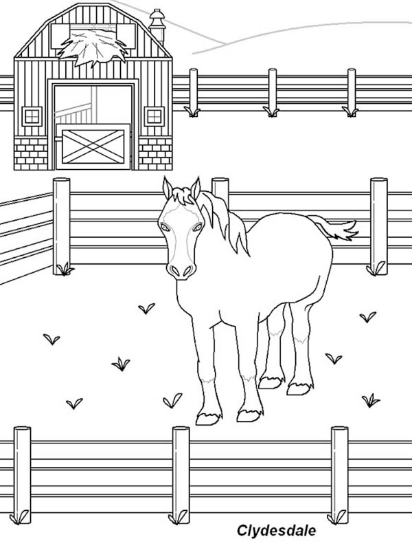 Конюшня рисунок. Лошадка в загоне раскраска. Раскраска конюшня. Раскраска лошади в конюшне. Конюшня раскраска для детей.