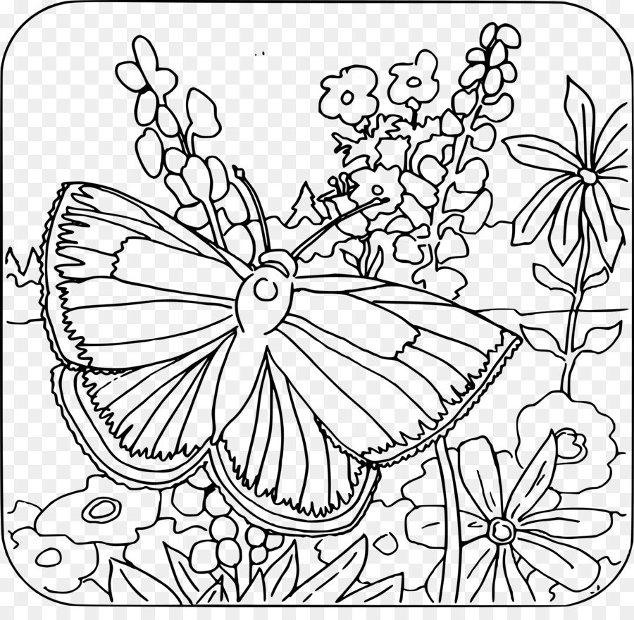 Раскраска бабочки на цветах