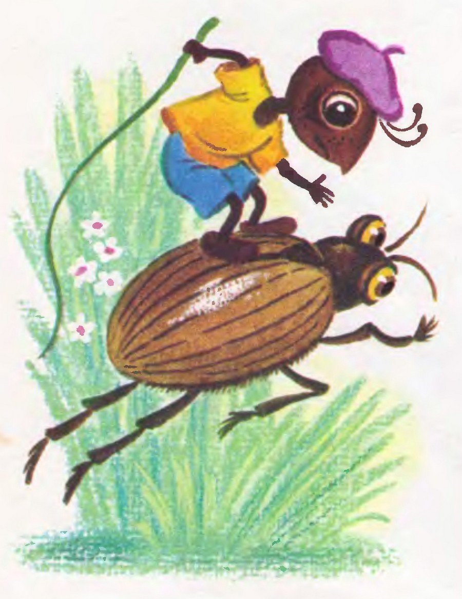 Сказка Бианки про муравьишку