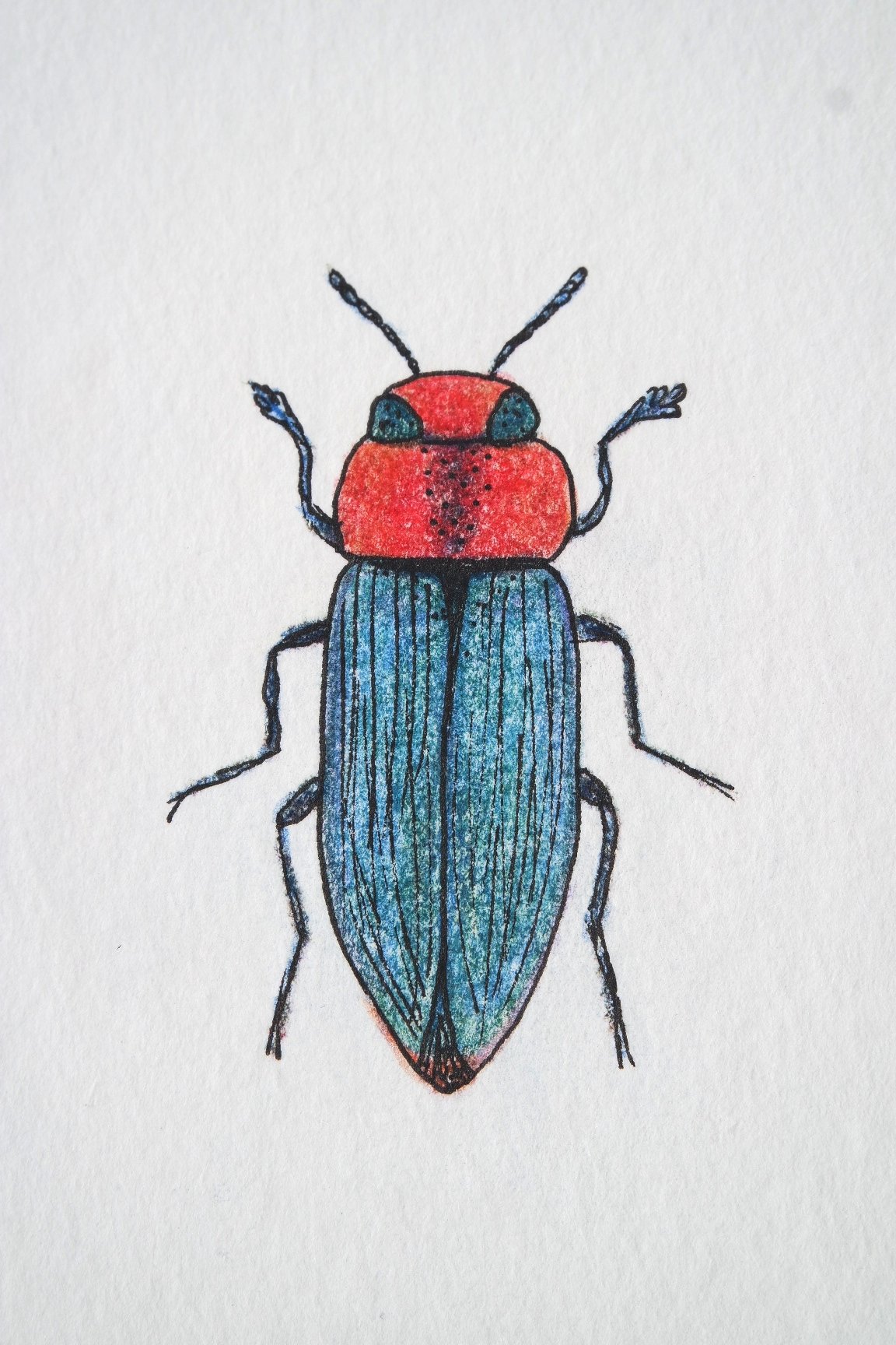 Рисование жука