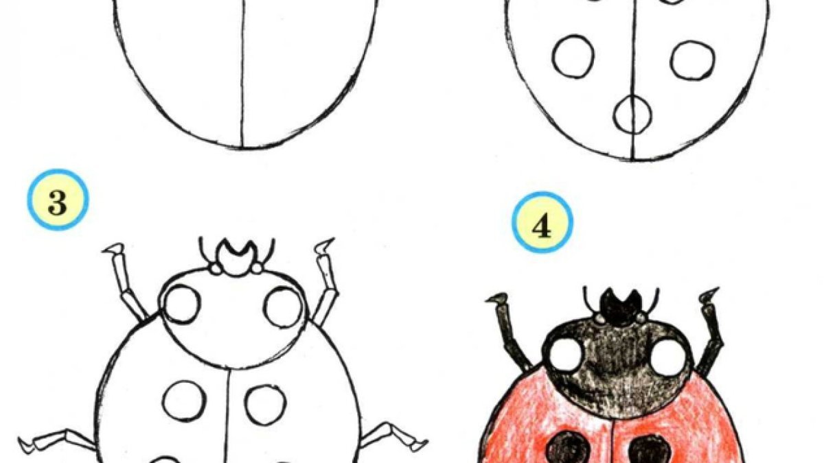 Как рисовать коровку. Рисование насекомые. Схема рисования насекомых для дошкольников. Жук для рисования детям. Рисование с детьми насекомые.
