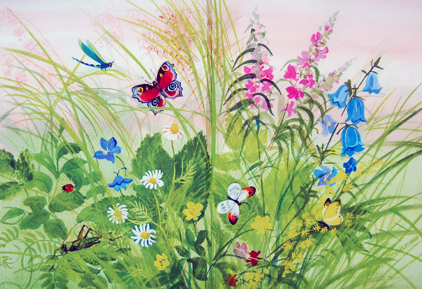 Произведение на лугу. Последние цветы м.м пришвин. .Охота за бабочкой" Михаила Пришвина. Рисование луговые цветы.