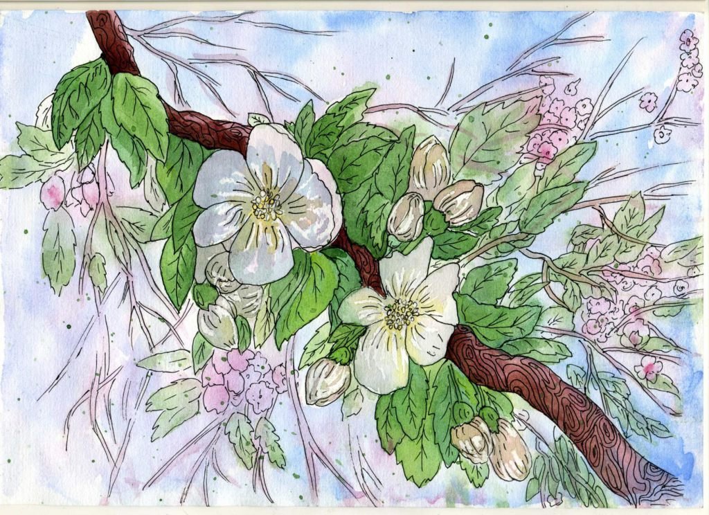 Нарисовать ветку яблони в цвету красками