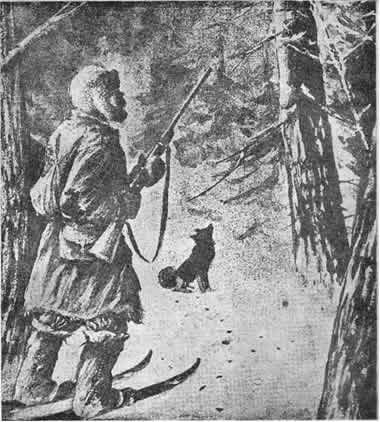 Лайка пустолайка