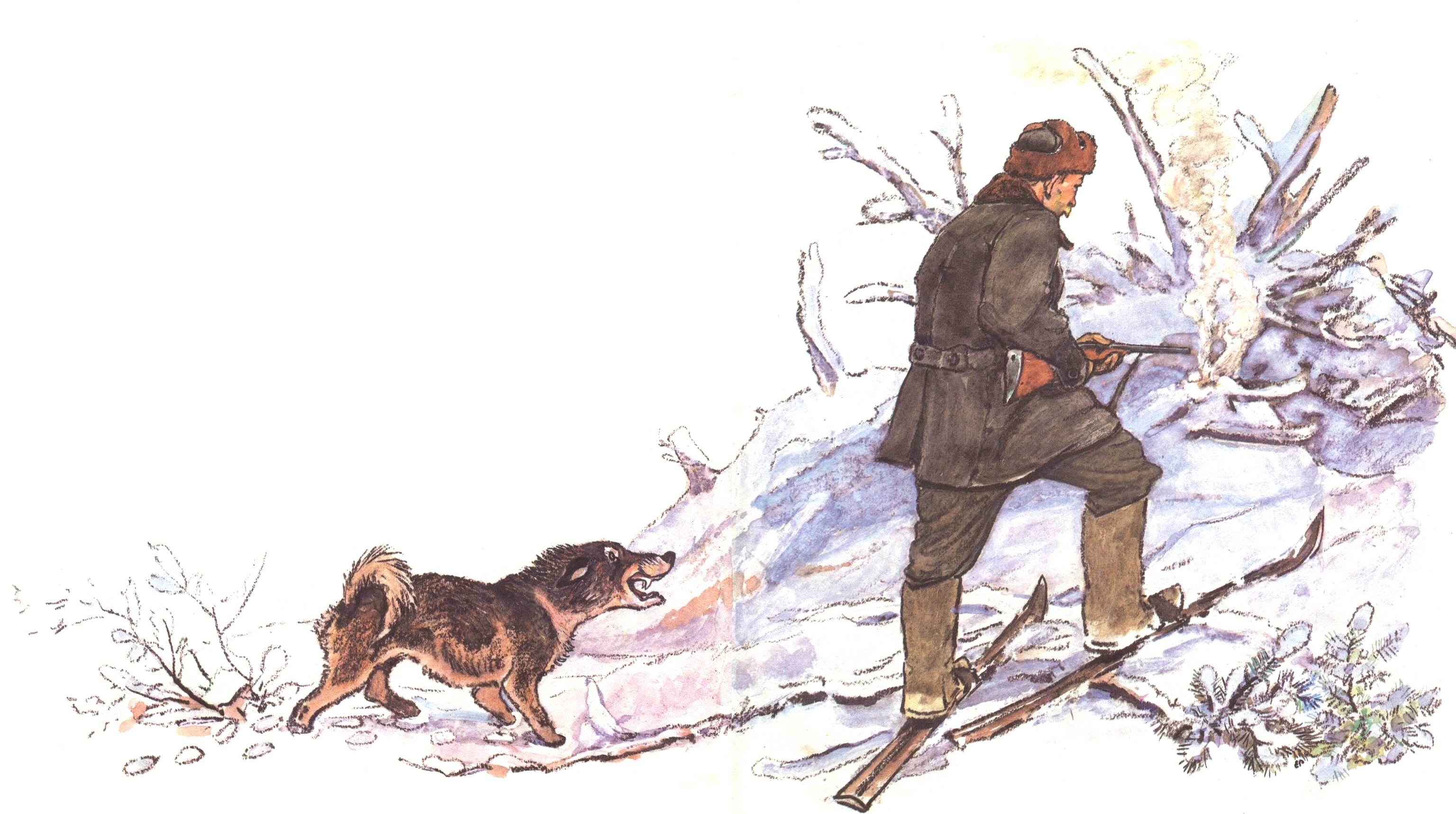 Борис Житков охотник и собаки иллюстрации
