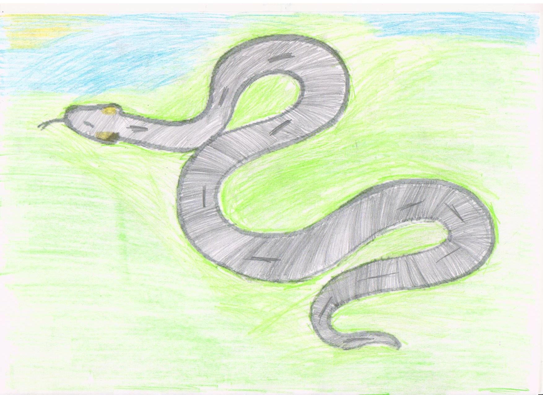 Картинки змеи для срисовки
