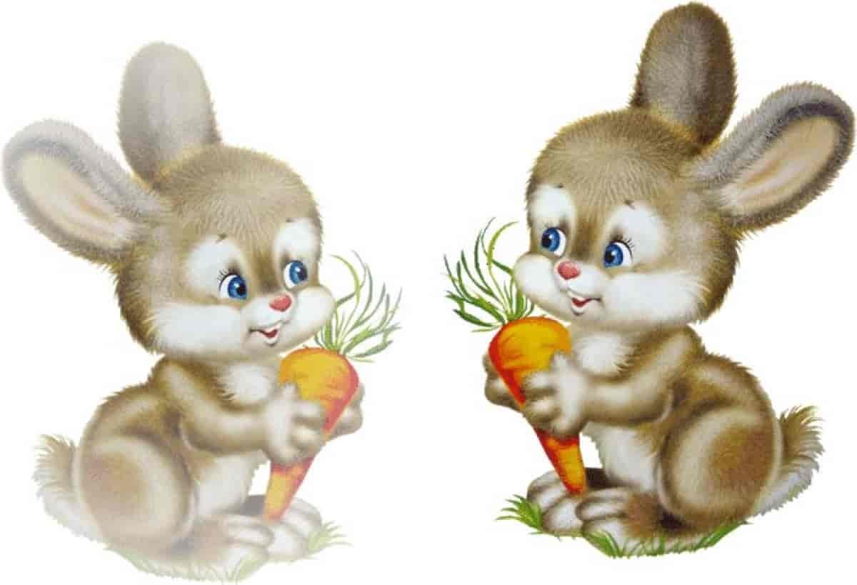 Найди 3 зайца. Зайчик для детей. Заяц рисунок. Зайчик картинка. Зайчик для детсада.