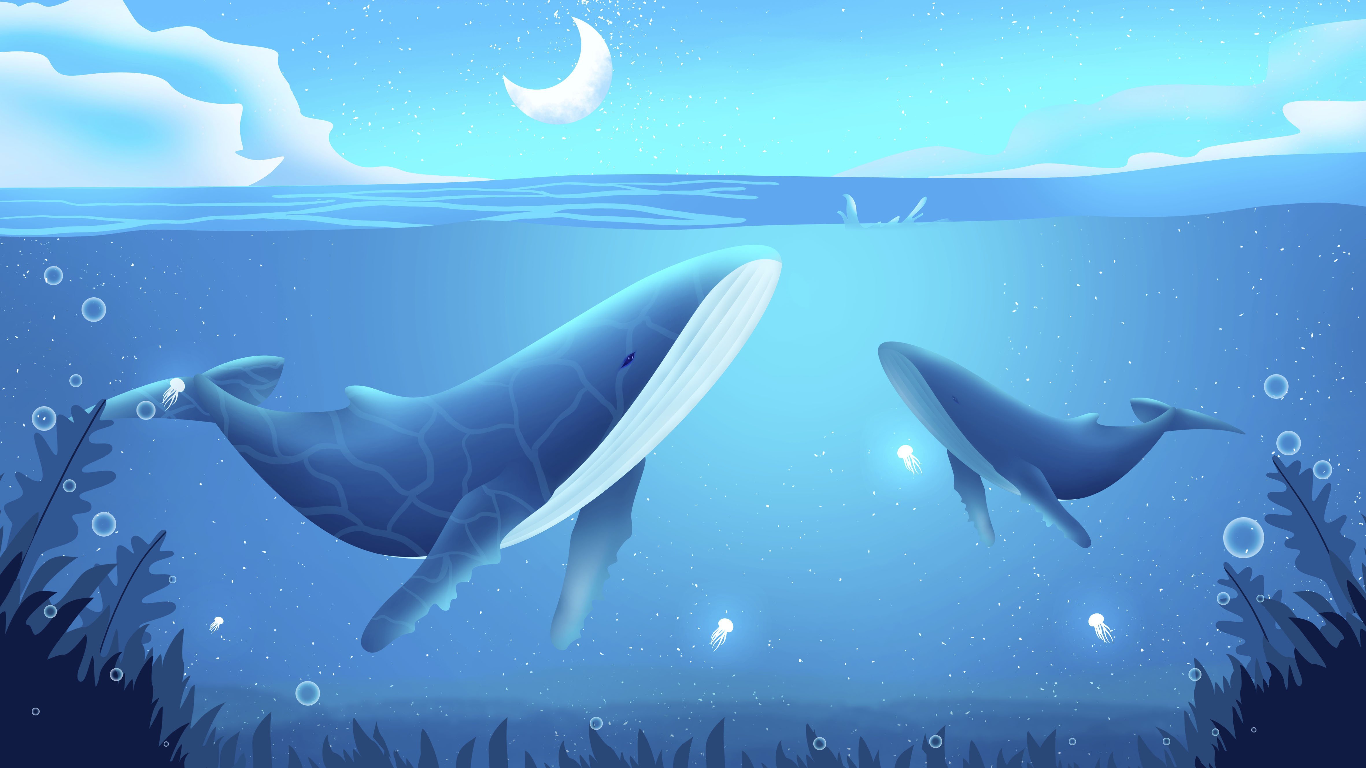 Морское дно киты