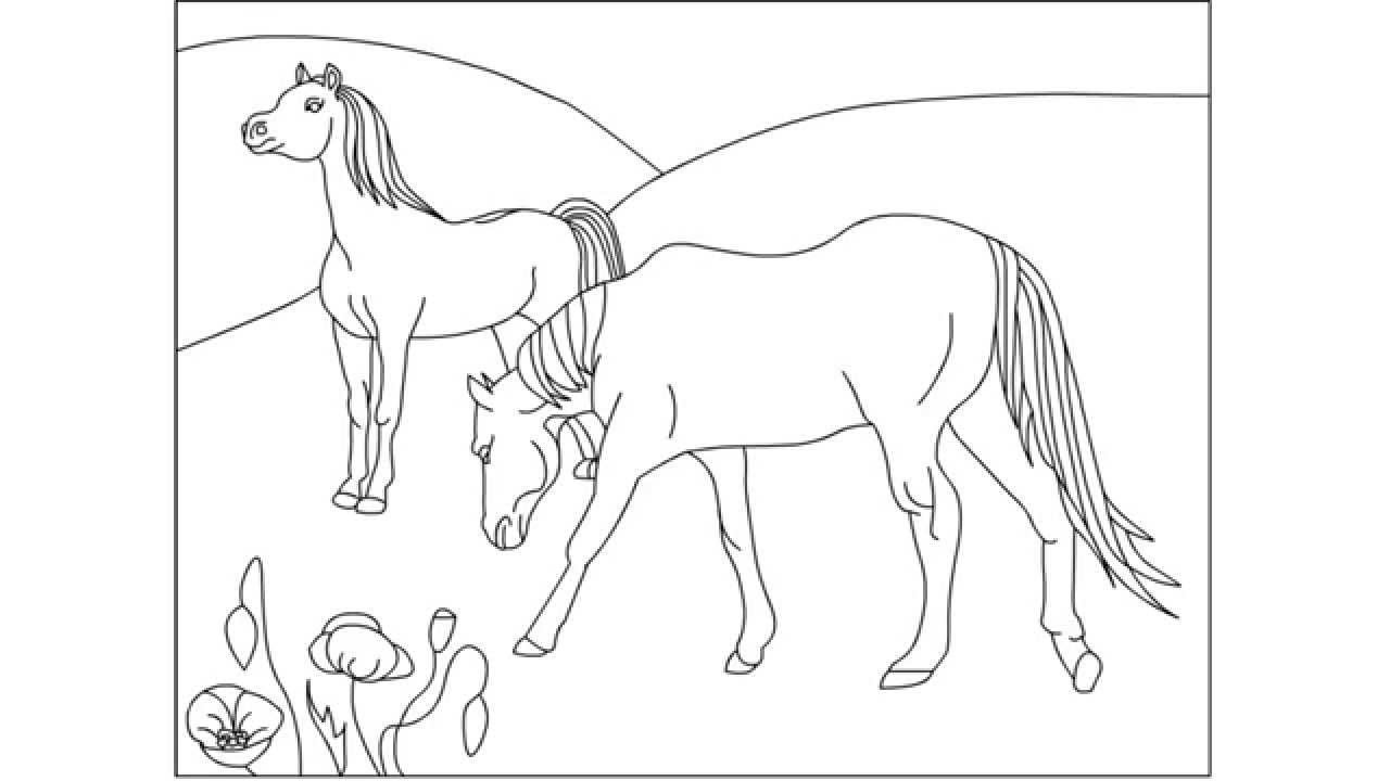 Лошади в поле раскраска для детей