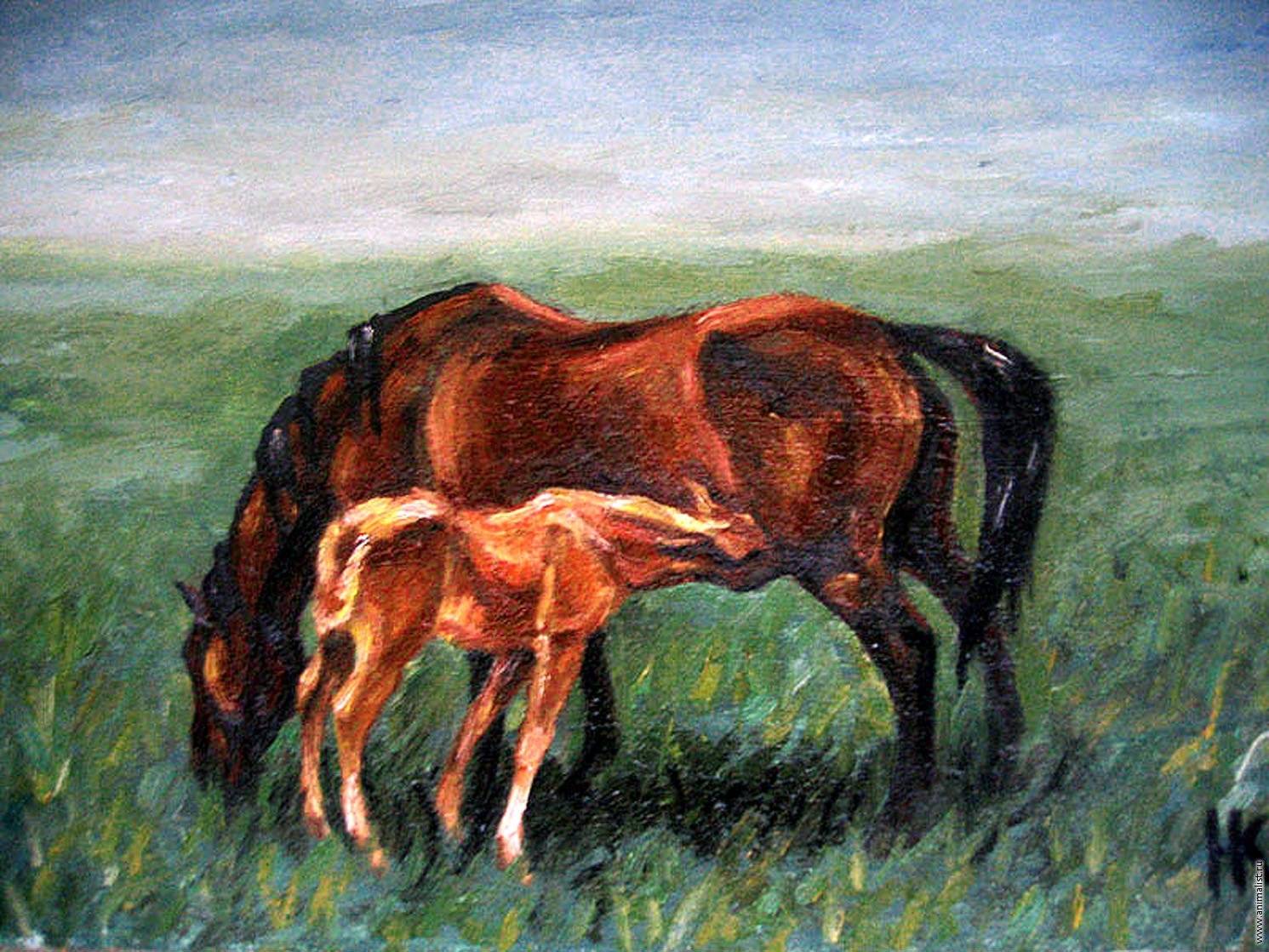 Картина лошадь в поле