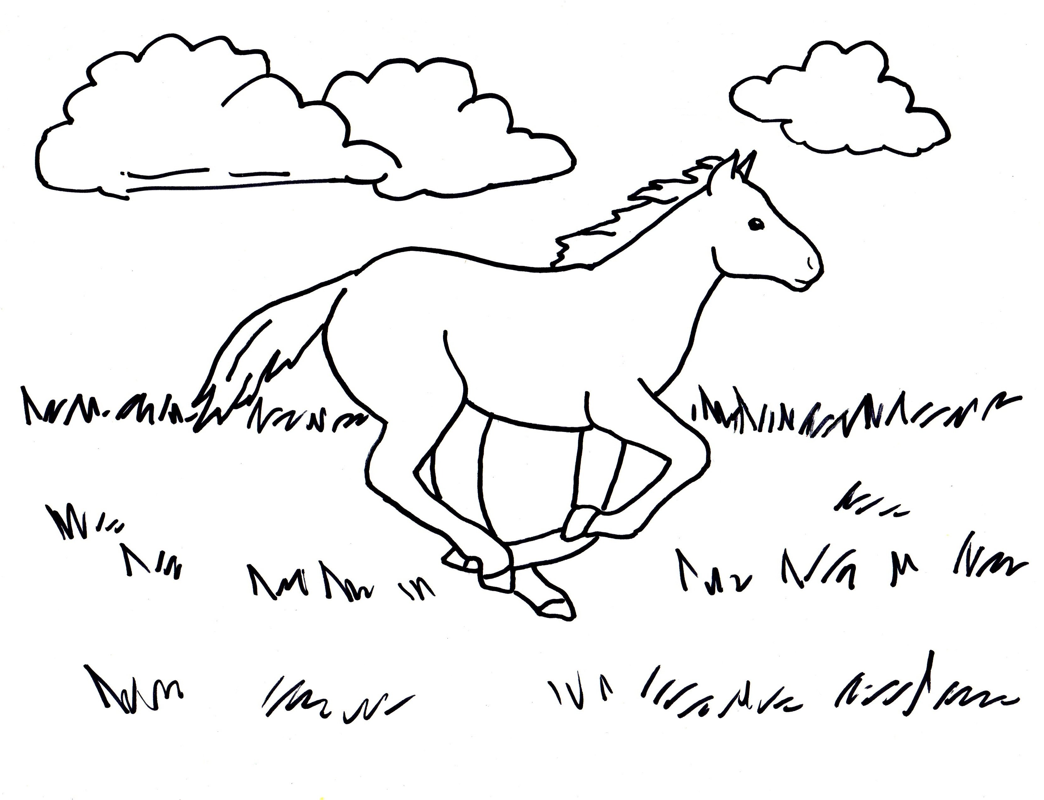 Раскраска лошадь в поле