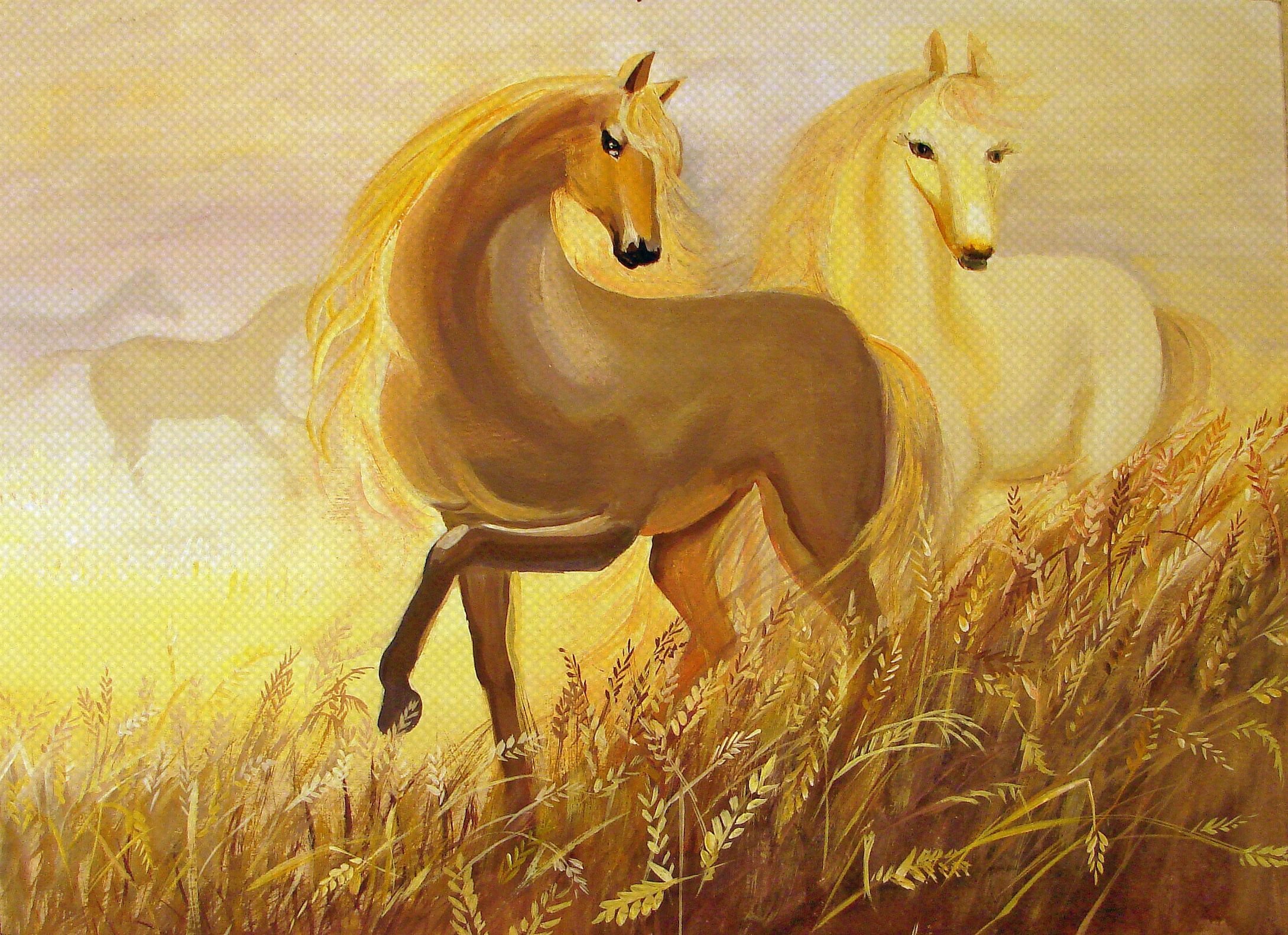 Конь в пшеничном поле