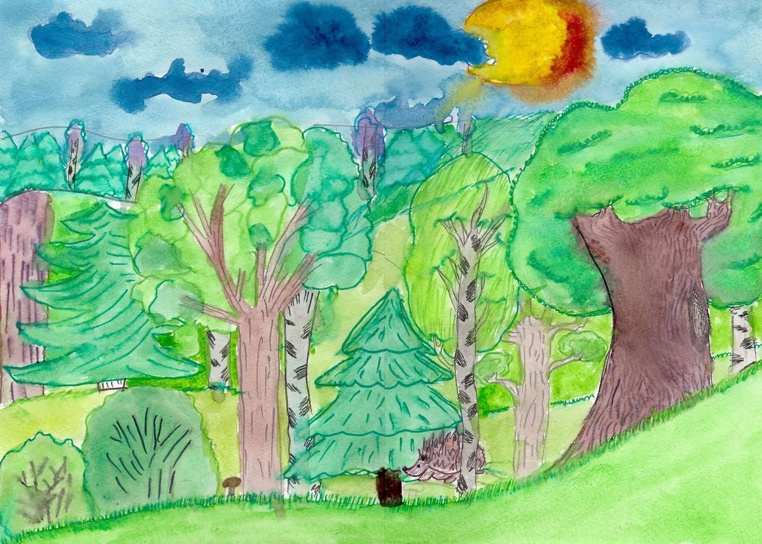 Детские рисунки лес