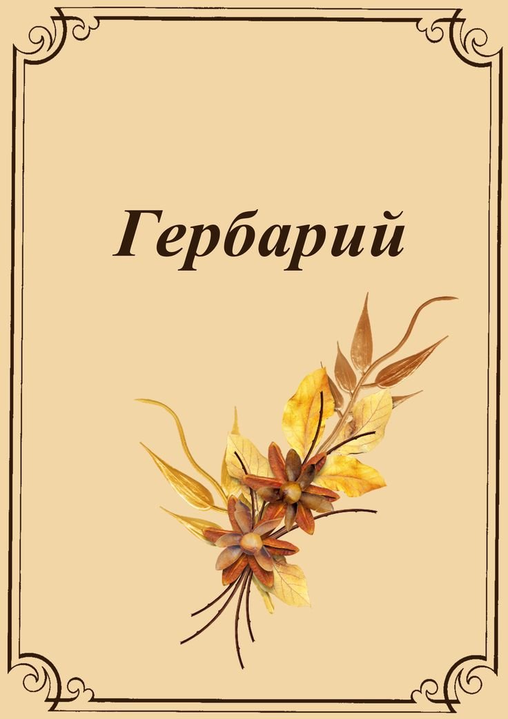 Рисунок на тему титульный лист