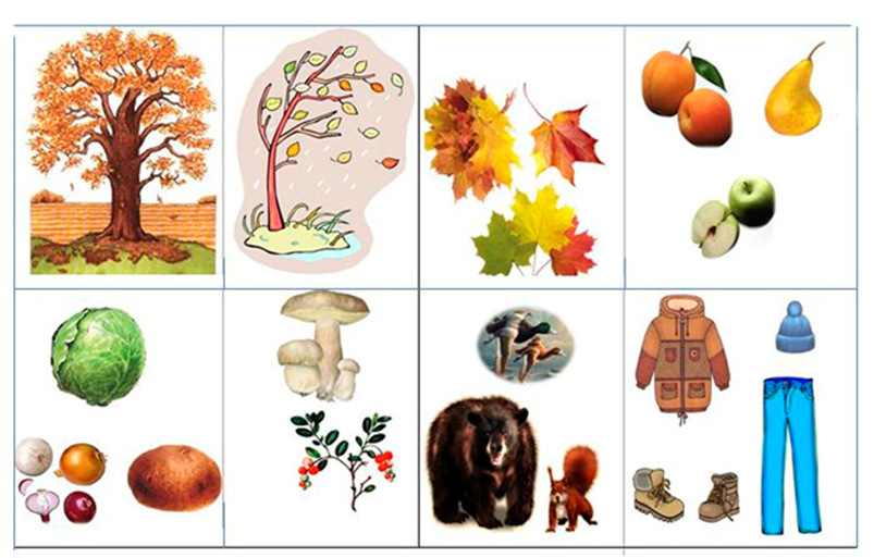 Схема описания осени. Предметы осени для дошкольников. Осенние признаки. Осень картинки для дошкольников. Дидактический материал на тему осень.