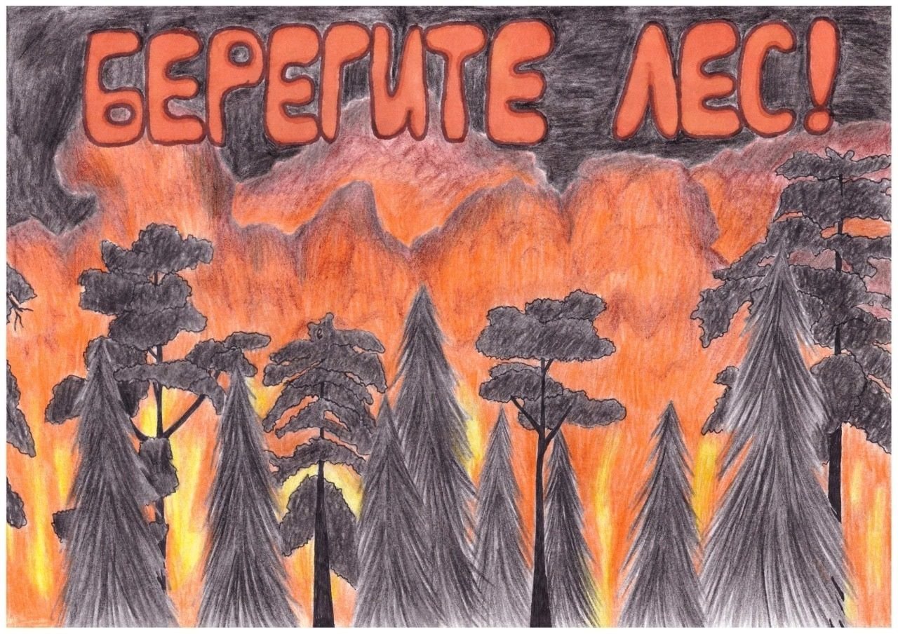 Рисунок на тему охрана лесов от пожара