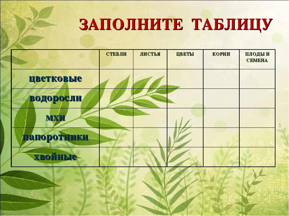 Разнообразие растений. Разнообразие растений таблица 3 класс. Разнообразие растений 3 класс задания. Таблица по окружающему миру. Таблица корень, стебель листья.