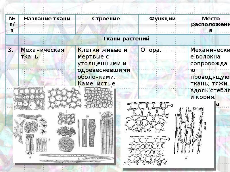 Определение тканей растений. Выделительная ткань растений ЕГЭ. Покровные ткани растений ЕГЭ биология. Схема тканей растений ЕГЭ биология. Строение тканей растений.
