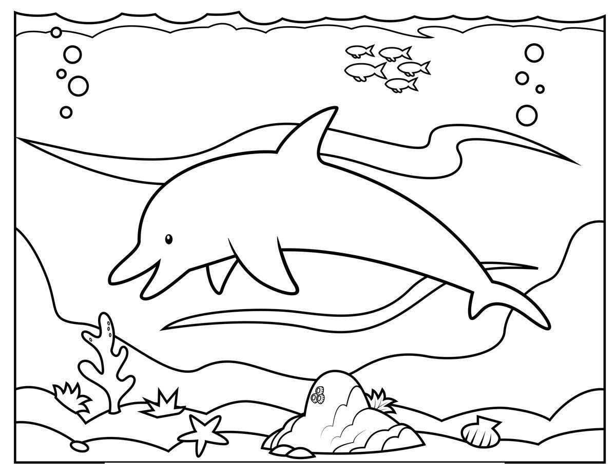 Раскраска киты и дельфины
