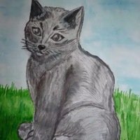 Рисование домашних питомцев