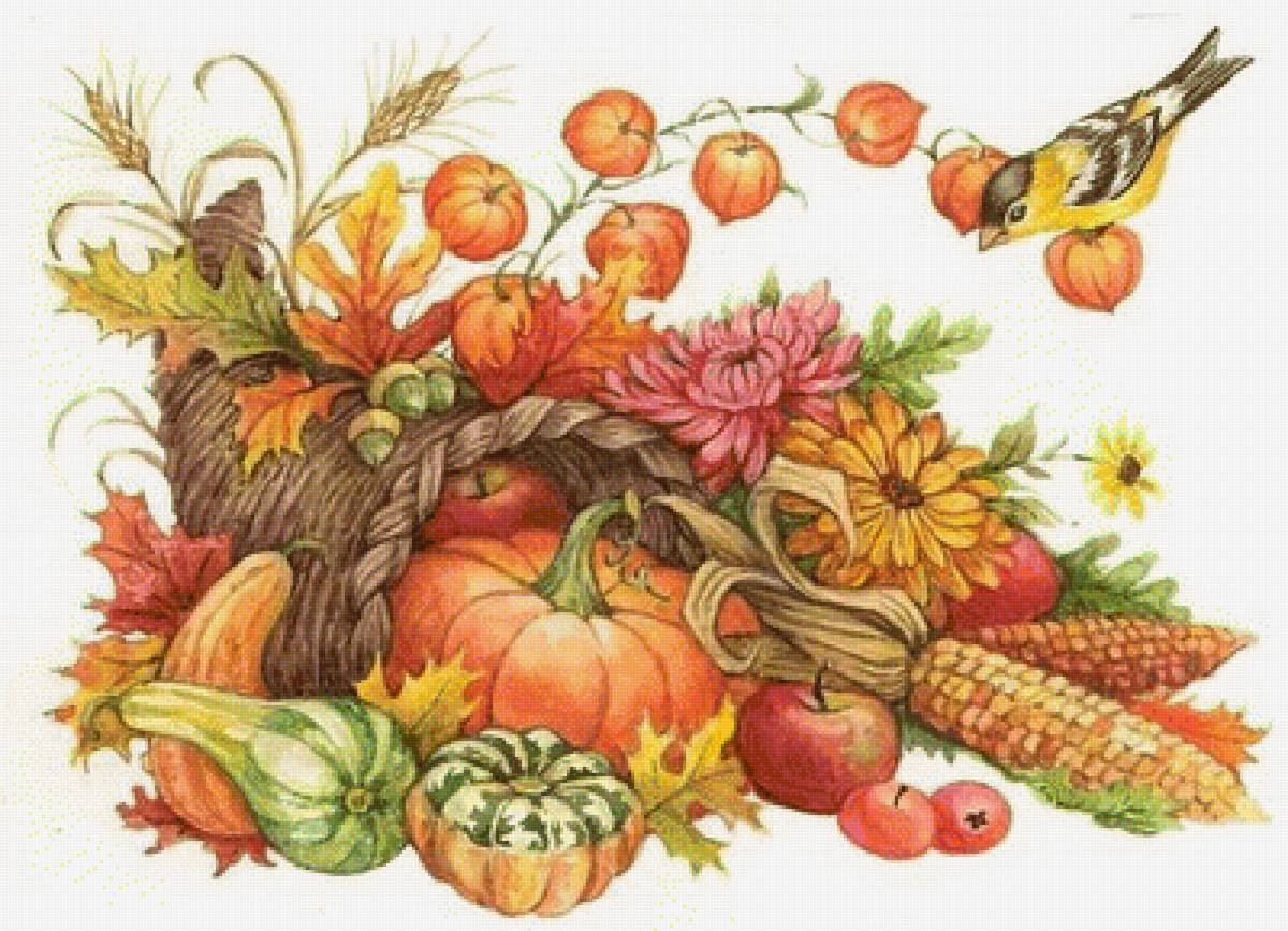 картинки осенний урожай овощей и фруктов