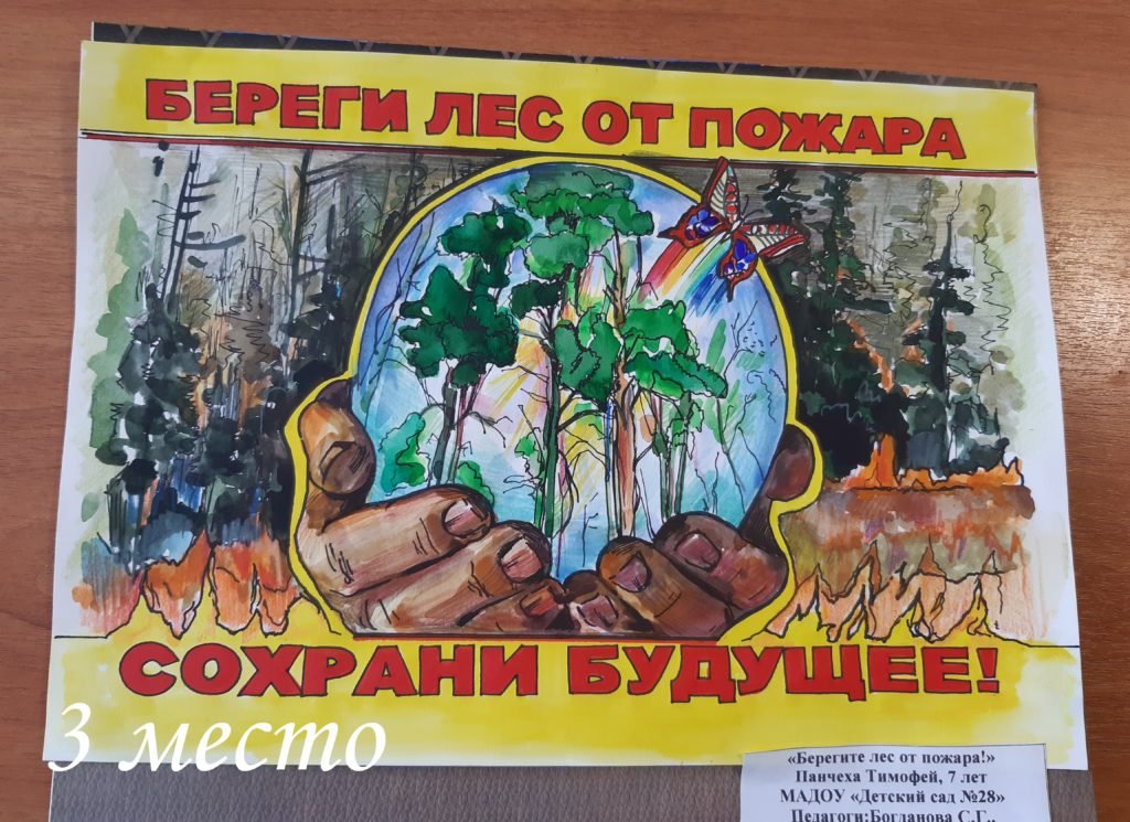 День леса плакат. Берегите лес. Плакат беречь лес от пожара. Плакат Защитим лес. Плакат на тему защита леса.