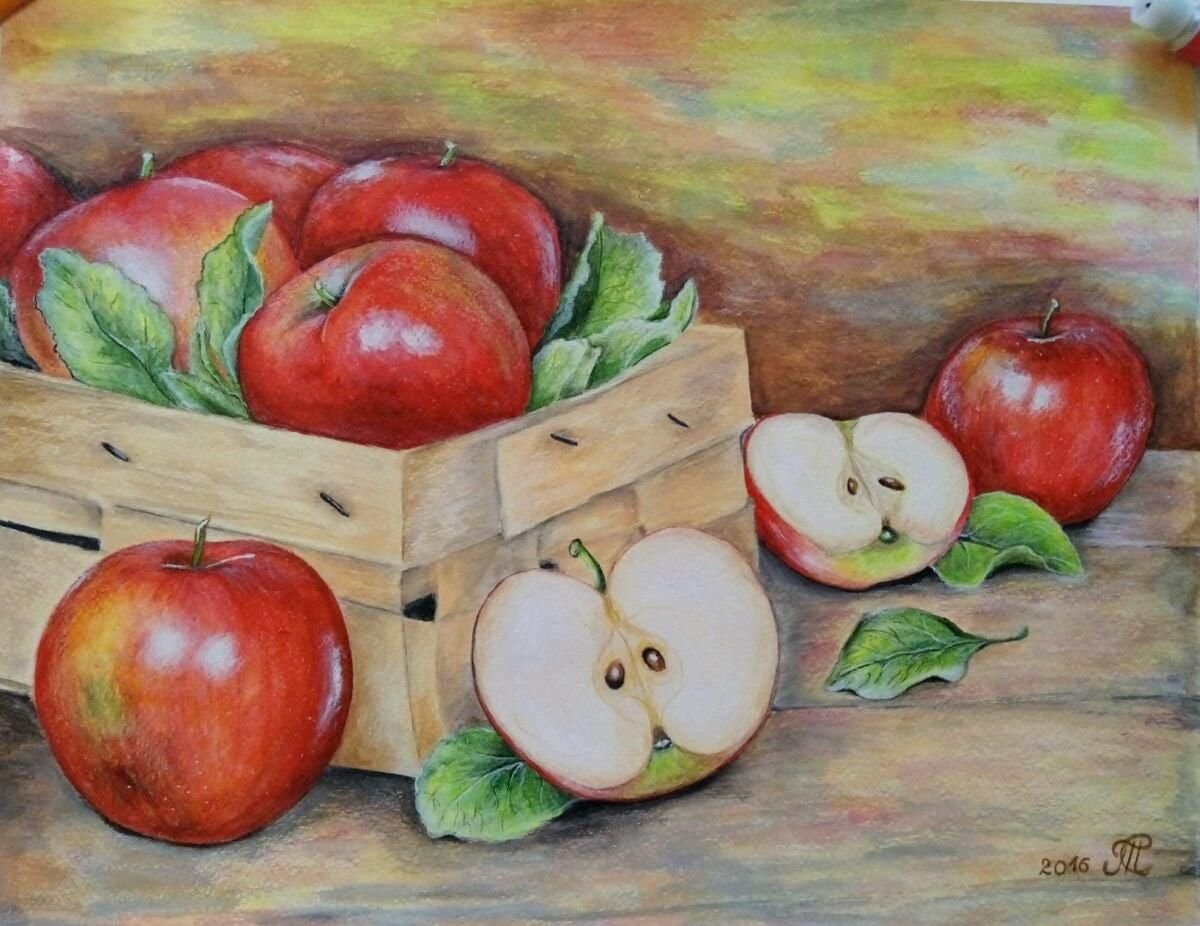 Натюрморт с яблоками рисунок