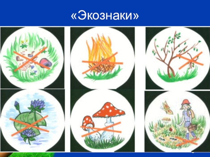 Экологические знаки для дошкольников в картинках