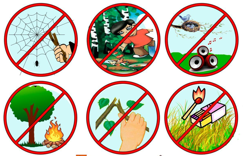 Правила поведения в природе в картинках. Экологические знаки. Природоохранные знаки. Знаки защиты природы. Запрещающие знаки в природе.